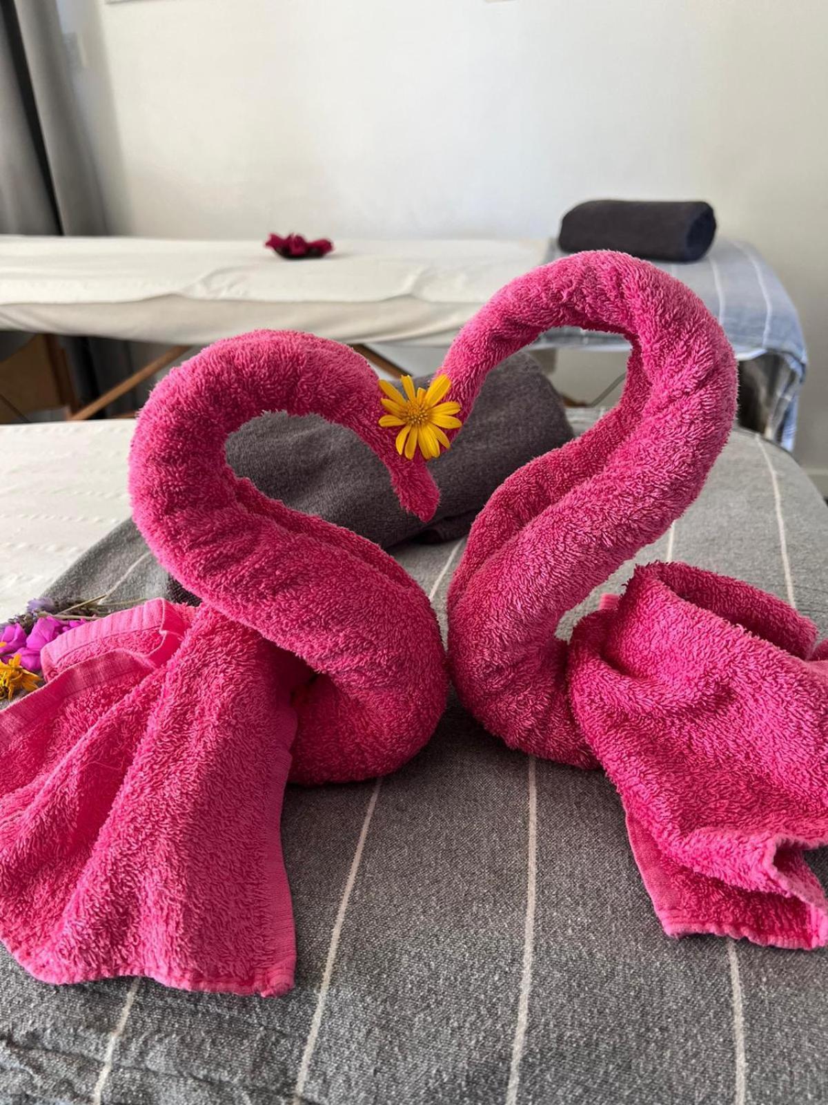 "L Eden Enchante" Chambres D'Hotes Et Spa Cote Basque Boucau Dış mekan fotoğraf